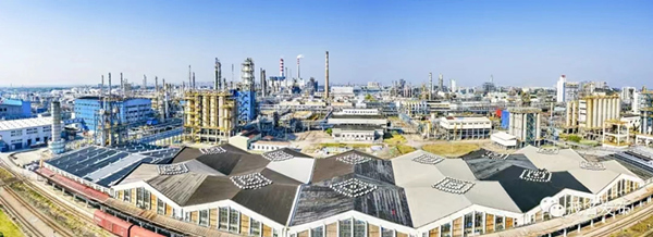 1690266100852055328.jpg 4_副本.jpg