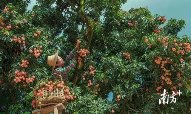 1690533605264009949.jpg B.jpg