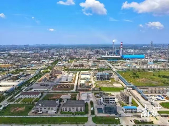 1691650172351007958.jpg 3.jpg