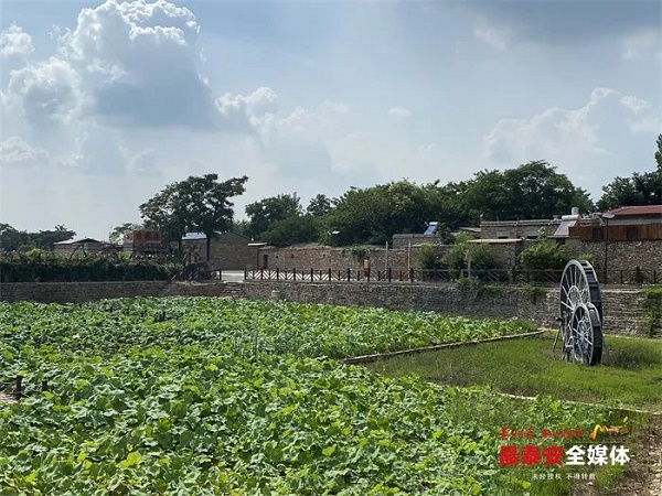 1692954441424017650.jpg 640.jpg