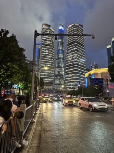 1693363423098067631.jpg IMG_4730-225x300.jpg