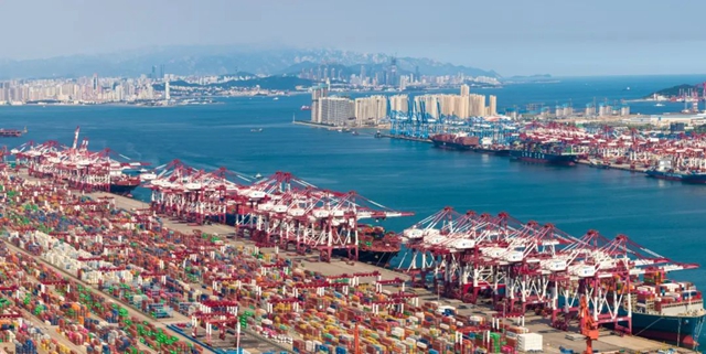 1694429842916095495.jpg 15.jpg