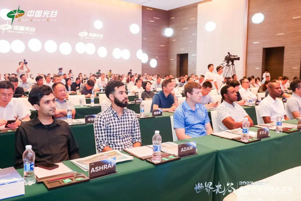 1692093323725008872.jpg 640 (2)_副本.jpg