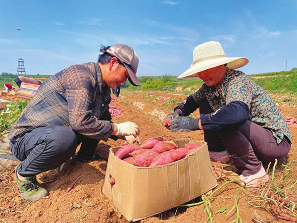 1695031219231048060.jpg 65041af0a310d2dc6d27e04b_副本.jpg