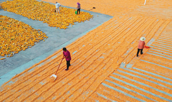 1695031261207047934.jpg 65041af0a310d2dc6d27e04f_副本.jpg