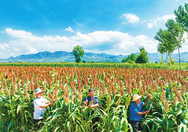 1695031301958039245.jpg 65041af0a310d2dc6d27e053_副本.jpg