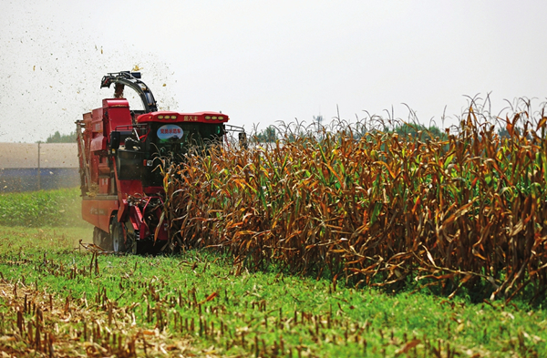 1695031364486078288.jpg 65041af0a310d2dc6d27e057_副本.jpg