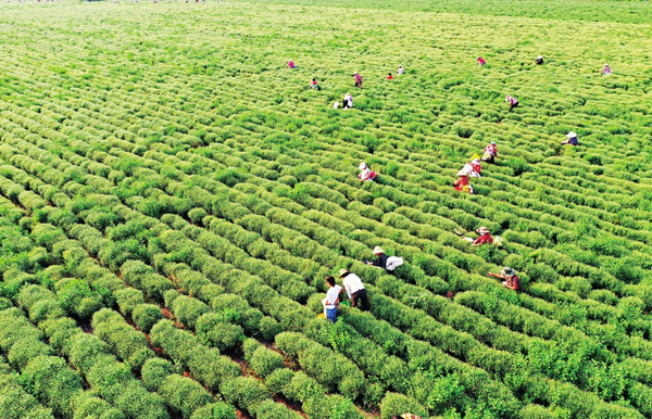 1695031401851029732.jpg 65041af0a310d2dc6d27e05b_副本.jpg