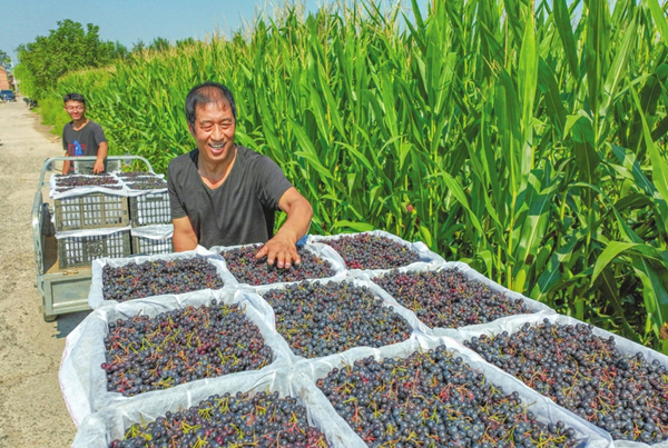 1695031432368098870.jpg 65041af0a310d2dc6d27e060_副本.jpg