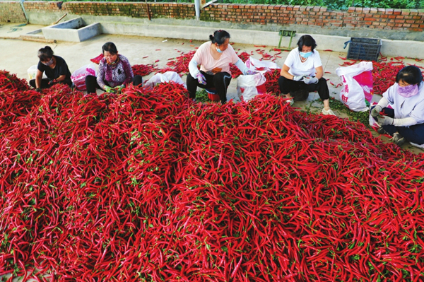 1695031460429095830.jpg 65041af0a310d2dc6d27e064_副本.jpg