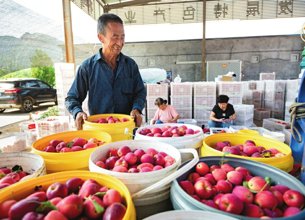 1695031493500082093.jpg 65041af0a310d2dc6d27e068_副本.jpg