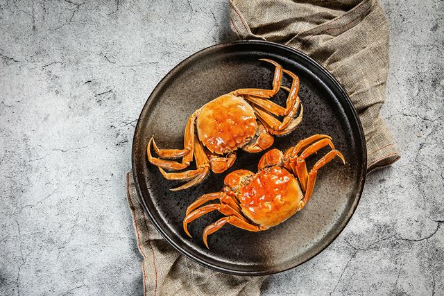 1695696628060073586.jpg 640.jpg