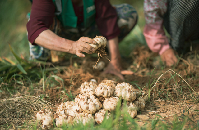 1695696635945093155.png 640.png