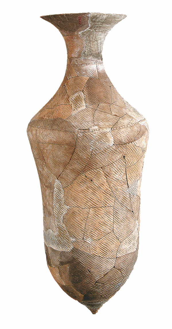 1694687036876002701.jpg 65024bb4a310d2dc6d27c61f.jpg