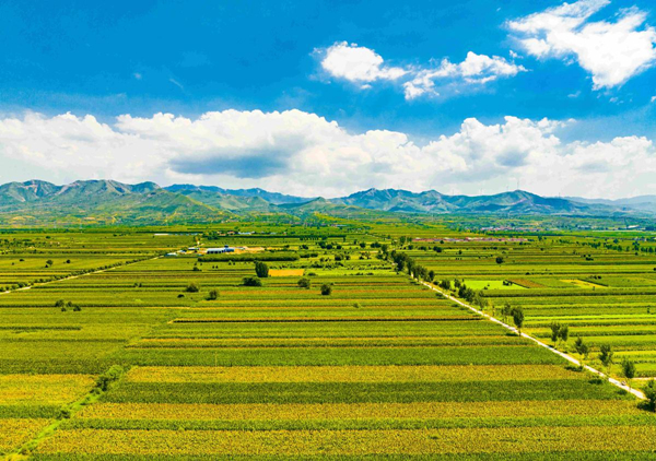 1693792356908053101.jpg 64f1866ba310d2dc6d27172a_副本.jpg