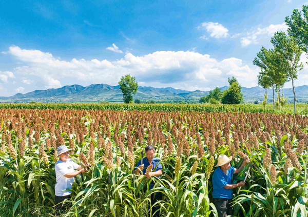 1693792396976012638.jpg 64f1866ba310d2dc6d27172c_副本.jpg