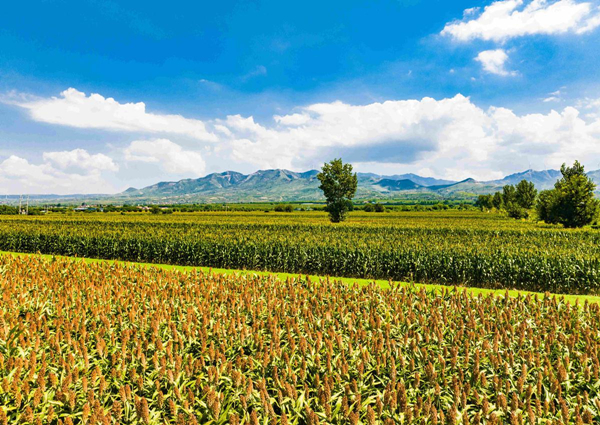 1693792443339092554.jpg 64f1866ba310d2dc6d271732_副本.jpg