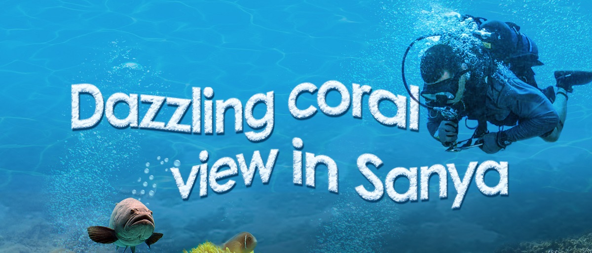 Watch it again: Dazzling view of Sanya's corals