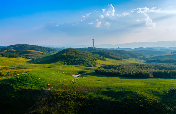 1697205243674000534.jpeg 6526964da3109068cafdeb75.jpeg