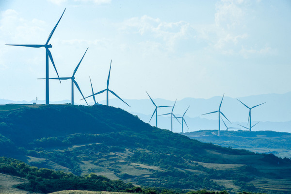 1697205255232074261.jpeg 6526964da3109068cafdeb78.jpeg