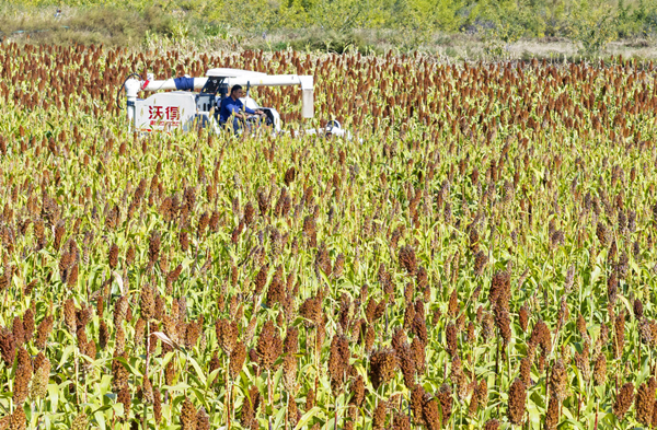 1697441087365021698.jpg 6527af19a3109068cafdfcdb_副本.jpg