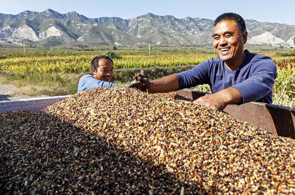 1697441186226042243.jpg 6527af19a3109068cafdfcea_副本.jpg