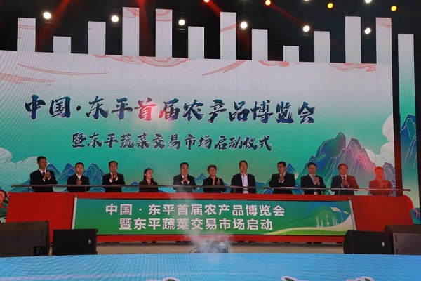 1697619472223032991.jpg taian1.jpg