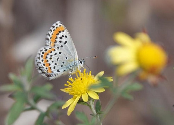 1698301793726088025.jpeg taian2.jpeg