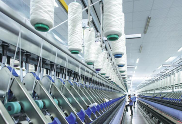 1501580167237086517.jpg 2.1.jpg