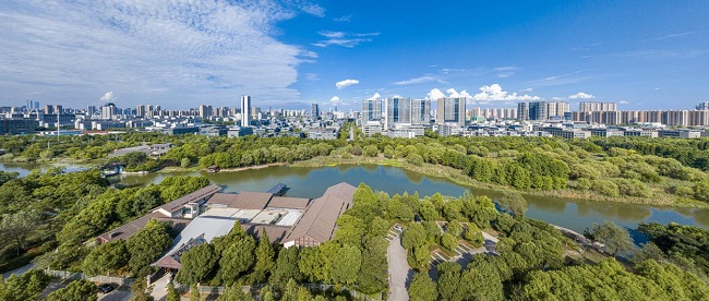 1698882675814054445.jpg binhu 3.jpg