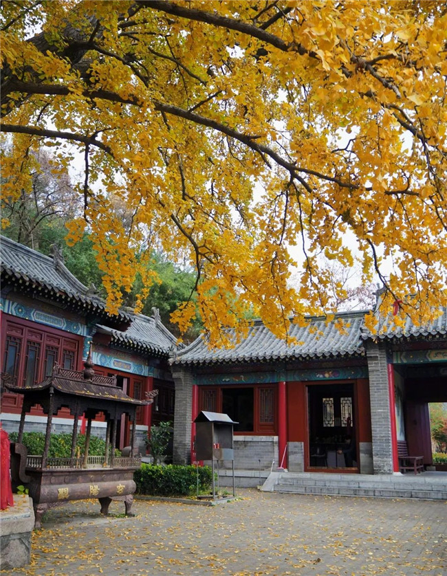 1699257965956026758.jpg 06-QD-竹子庵公园_副本.jpg