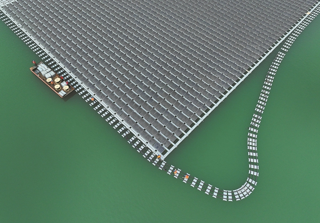 1698893163890064095.jpg 16.jpg