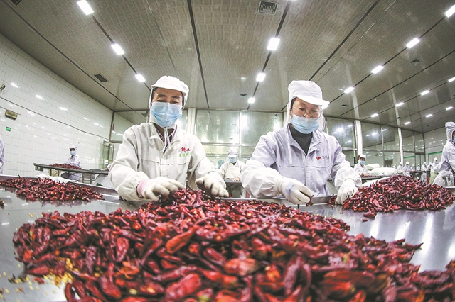 1699955306350055354.jpg 23.jpg