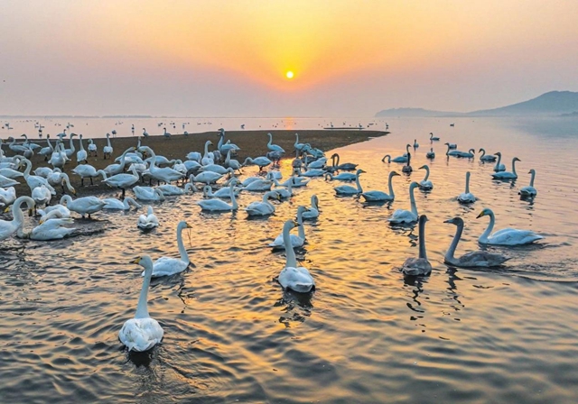 1699689651034052566.jpg 03.jpg