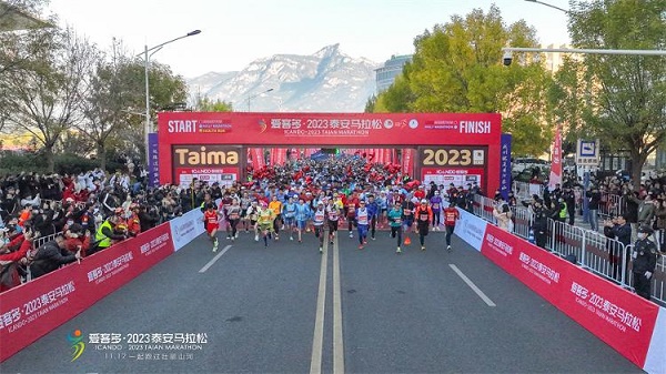 1699861975635046922.jpeg taian1.jpeg