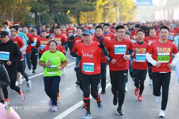 1699862637645019656.jpeg taian3.jpeg