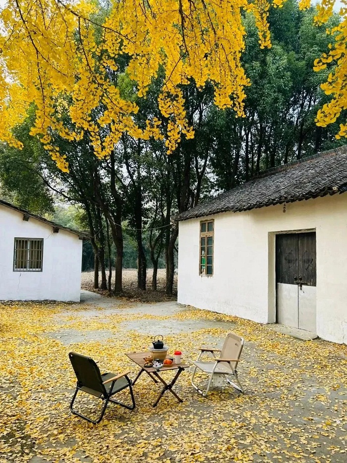 1701745068215028334.jpg 640 (1).jpg