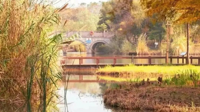 1701745076396024830.jpg 640 (2).jpg