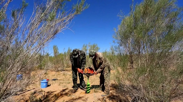 1701854160020013302.jpg alshaa_副本.jpg