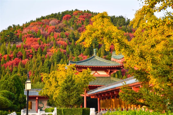 1700039792945062737.jpg 640 (3).jpg