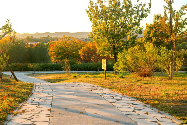 1700039657636043438.jpg 640 (2).jpg