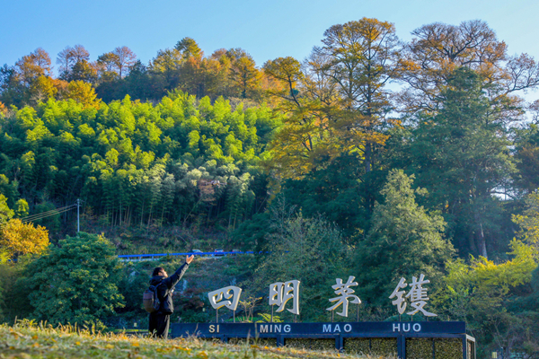 1700556299502059196.jpg 3_副本.jpg