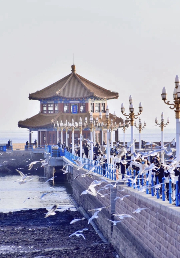 1700811302460077785.jpg 微信图片_20231124123912_副本_副本.jpg