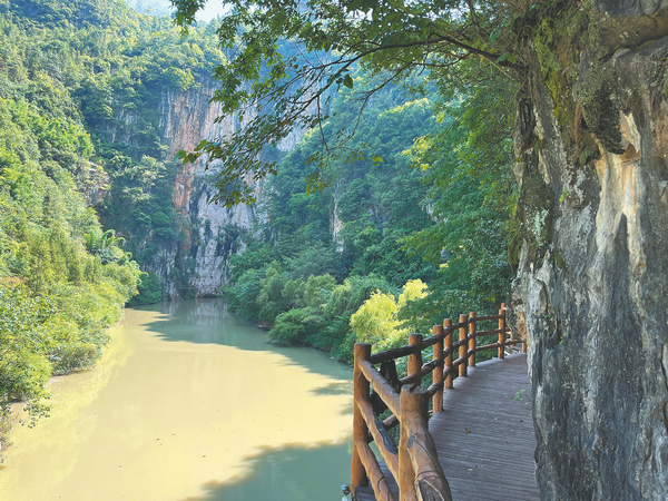 1700793682591035470.jpeg 655fe4cda3109068cb0072f8.jpeg