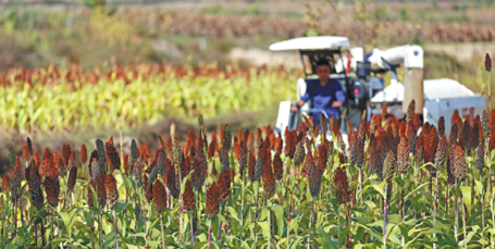 1703209798291016264.jpg 20231222_006_01_20_副本.jpg