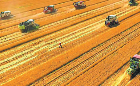 1703209760242066840.png 20231222_006_01_21.png