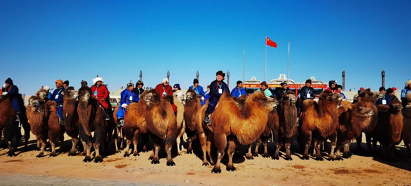 1703816979984015380.jpg 640 (13)_副本.jpg