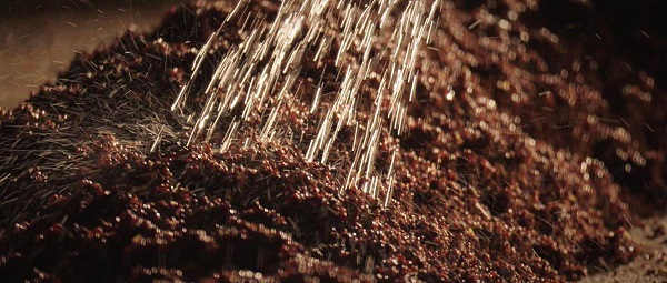 1703665035310034030.jpeg 1.jpeg