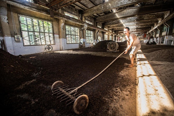 1703665015968049162.jpeg 4.jpeg