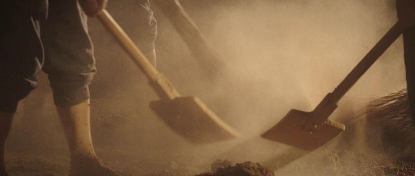 1703665009846050242.jpeg 5.jpeg